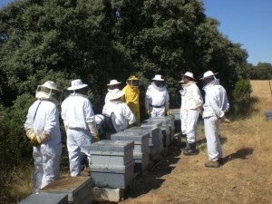 curso-iniciacion-apicultura-2