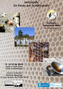 C.C. A. Machado Un paseo por la apicultura