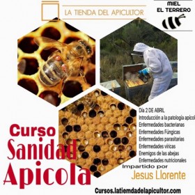 Sanidad Ap Cola Fundaci N Amigos De Las Abejas